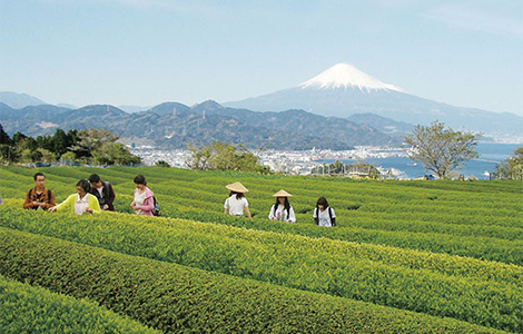 日本平お茶会館