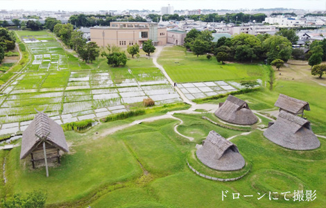 静岡市立登呂博物館（特別史跡 登呂遺跡）